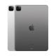 Apple iPad Pro (4th Gen) 256 GB ROM 11.0 inch with Wi Fi Only