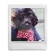 Instax Colorfilm Square-(16549278)