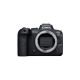 Canon EOS - R6 Mark II ( BODY)