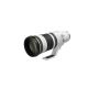 Canon RF 100-300mm f/2.8 L IS USM Lens